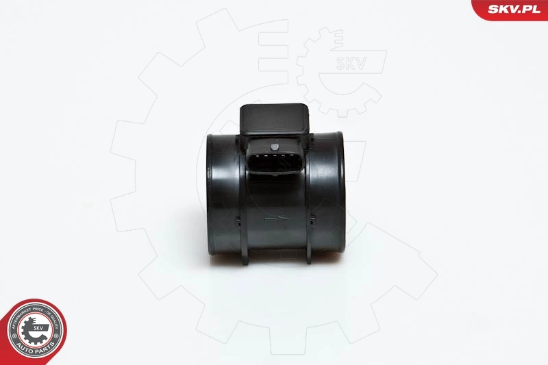 Mass Air Flow Sensor